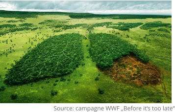 Source: campagne WWF „Before it‘s too late“